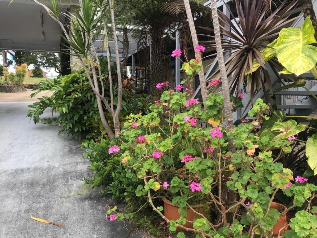 Coffs Shearwater Motel Coffs Harbour Ngoại thất bức ảnh